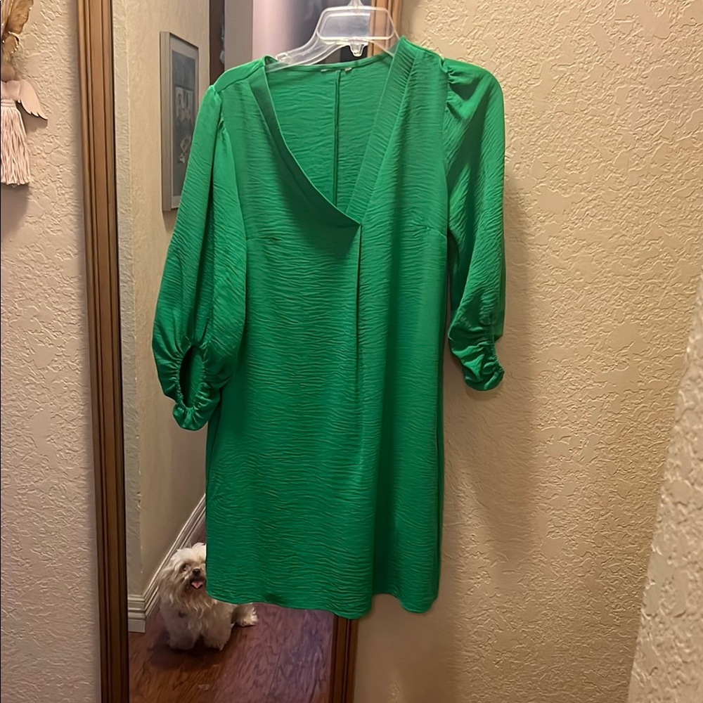 Elegant Green Women's Dress